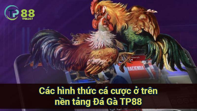 Đá Gà TP88 - Khám Phá Thế Giới Cá Cược Đầy Hấp Dẫn Và Kỳ Thú 2 cac-hinh-thuc-ca-cuoc-o-tren-nen-tang-da-ga-tp88