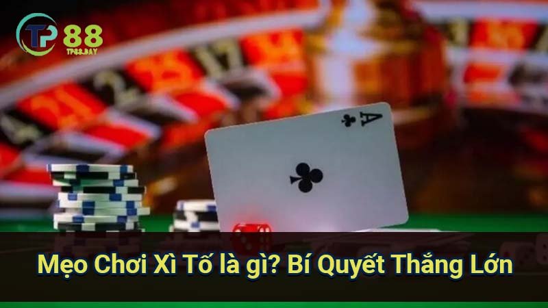 meo-xi-to-la-gi