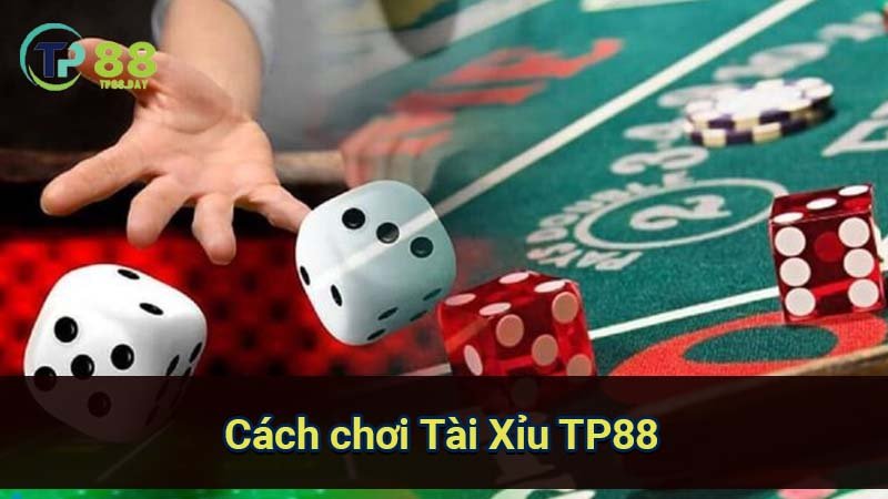 Tài Xỉu TP88: Hướng Dẫn Chơi Cực Hay & Kinh Nghiệm Thắng Lớn 1 cach-choi-tai-xiu-tp88